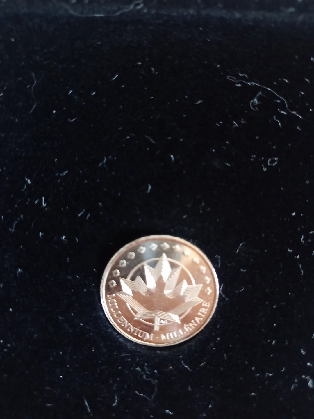 The Official Millennium Keepsake (1999–2000) - photo 3