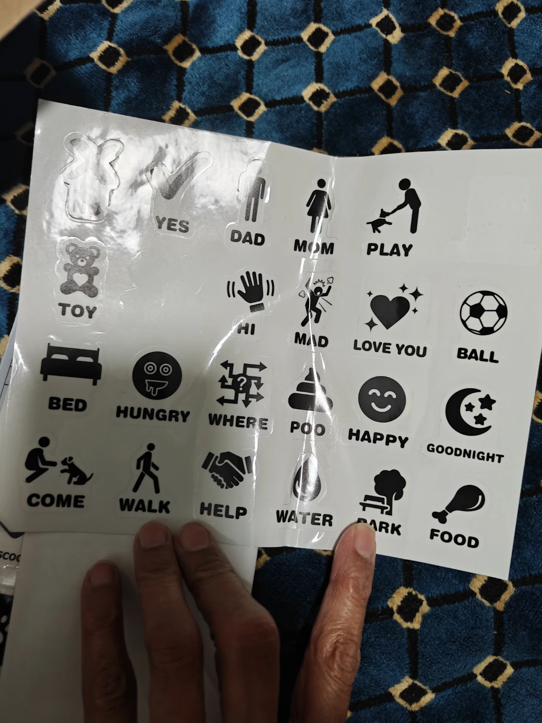 Dog Communication Buttons - photo 4