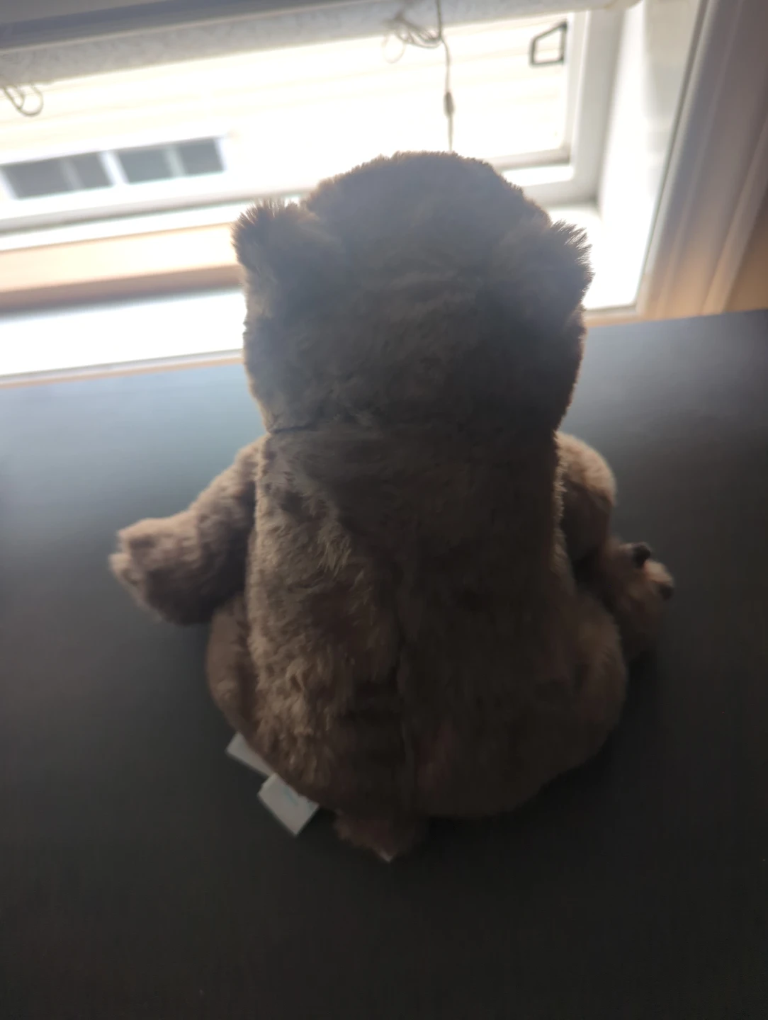 Jellycat Wonda Wombat Plush Toy - photo 2