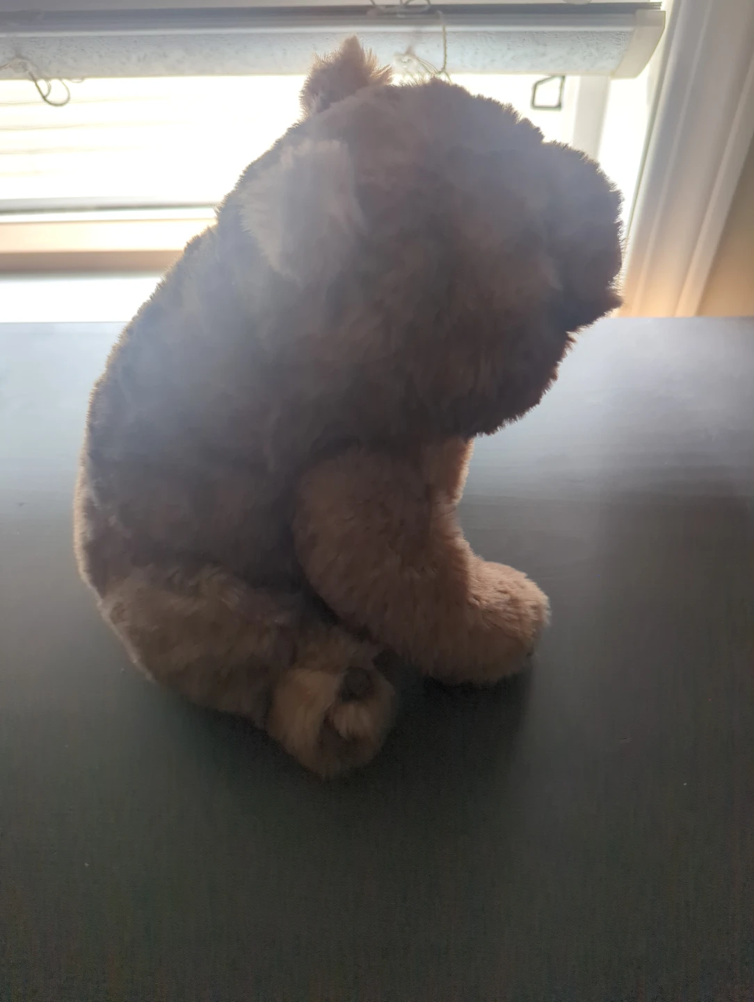 Jellycat Wonda Wombat Plush Toy - photo 3