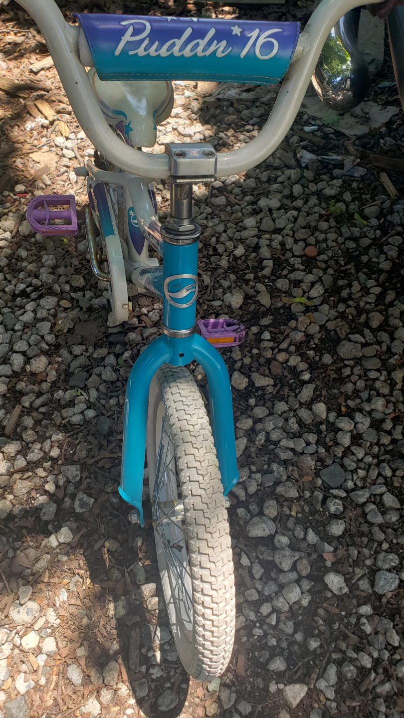Giant Puddin' 16 Kids Bike