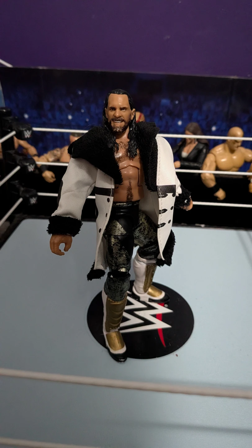 WWE Seth Rollins Action Figure