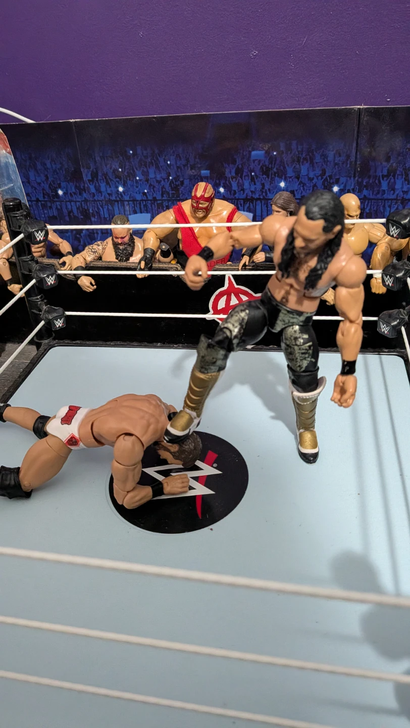 WWE Seth Rollins Action Figure - photo 2