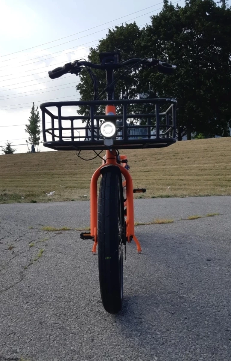 Rad Power Bikes RadWagon Cargo Electric Bike - photo 2