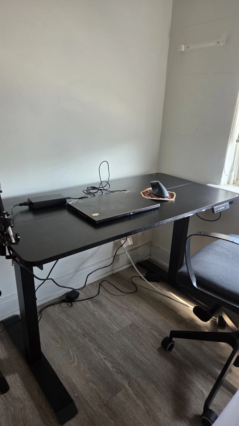 Adjustable Standing Desk - photo 4