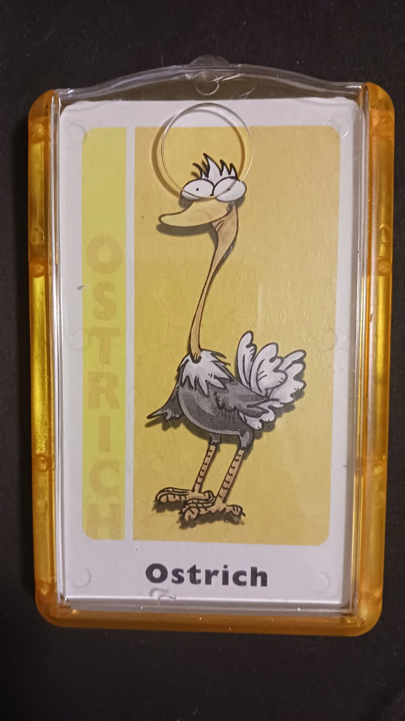 Animal Match Card Game