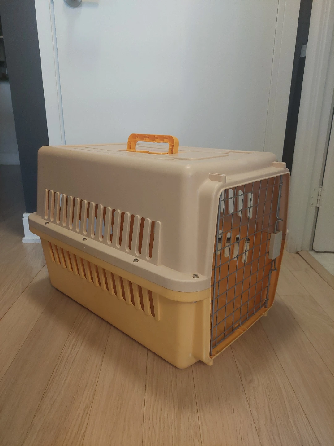 Pet Travel Kennel Carrier