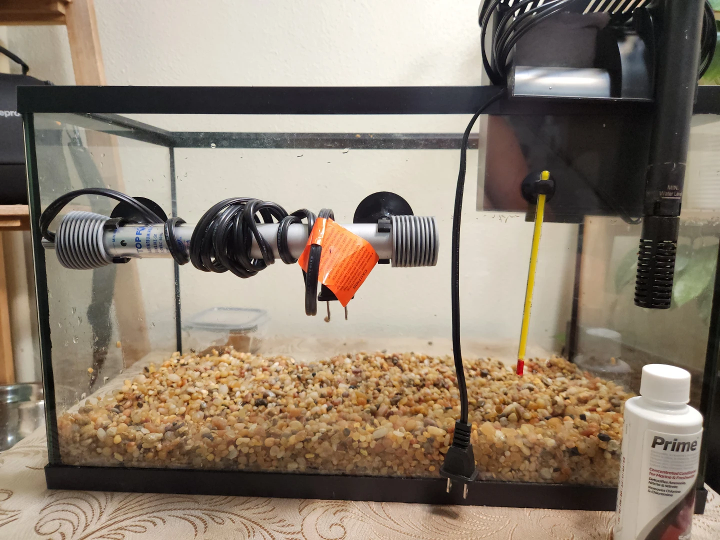 10 gal Aquarium moving sale