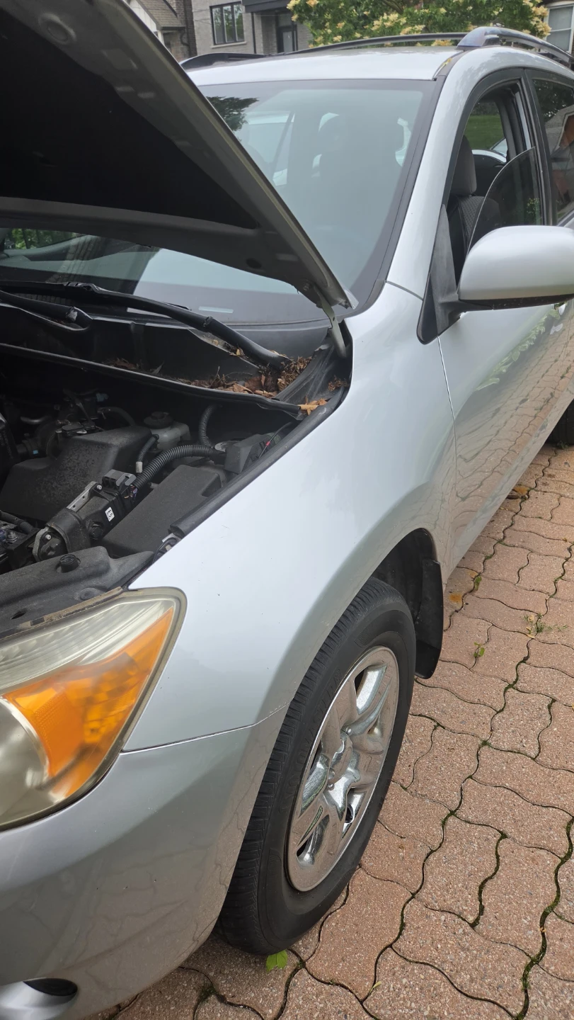 2007 Toyota Rav4 - photo 4