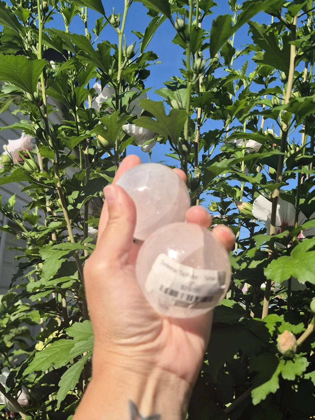 Selenite Sphere - Small #2 - photo 3