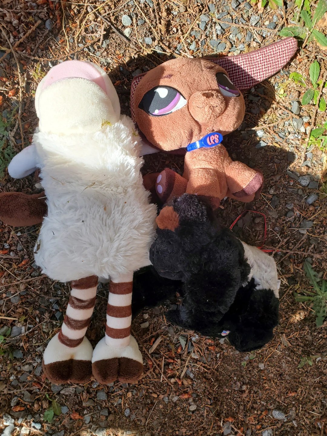 Stuffy Lot