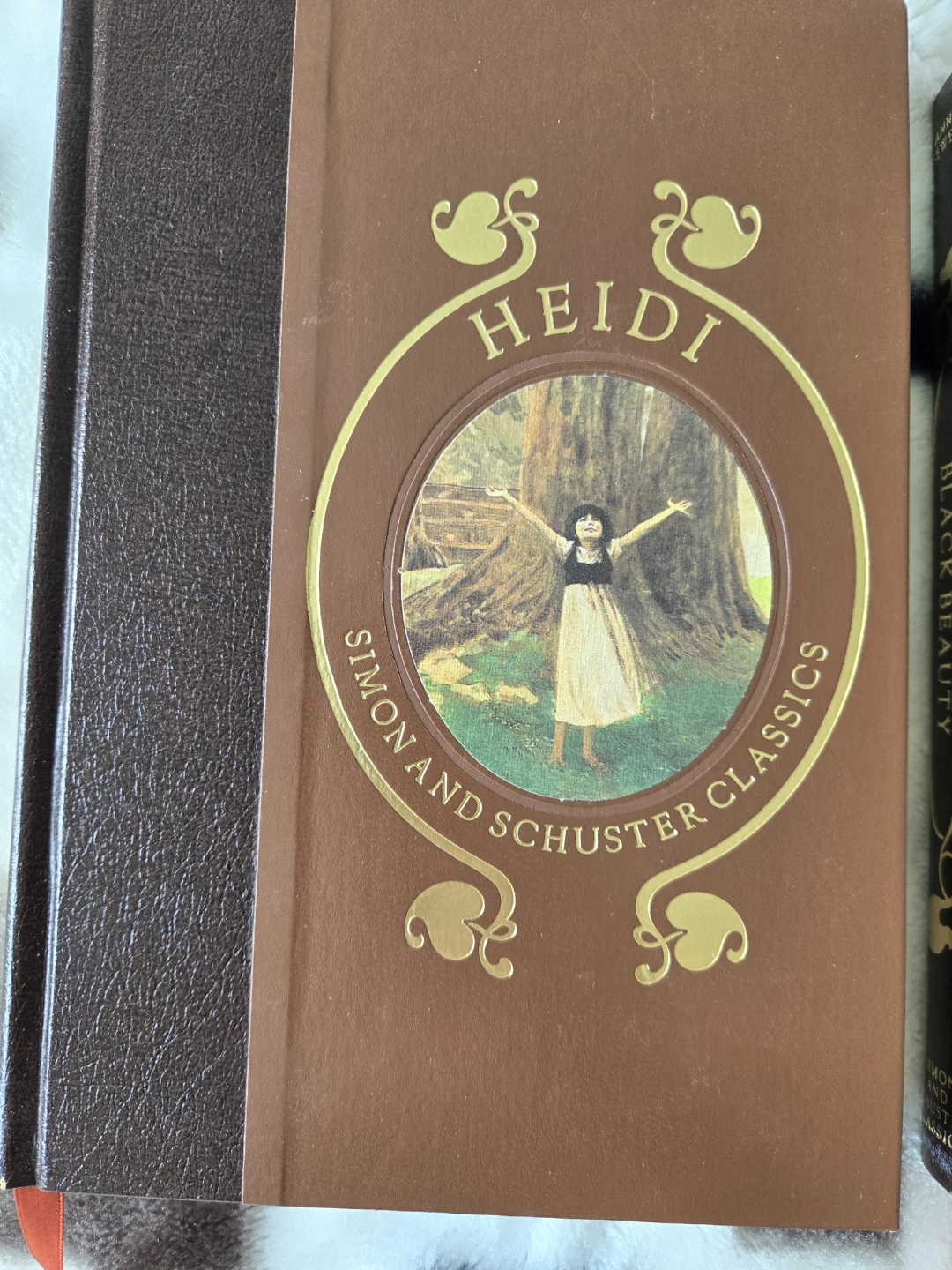 Simon & Schuster Classics Collection - 5 Books - photo 3