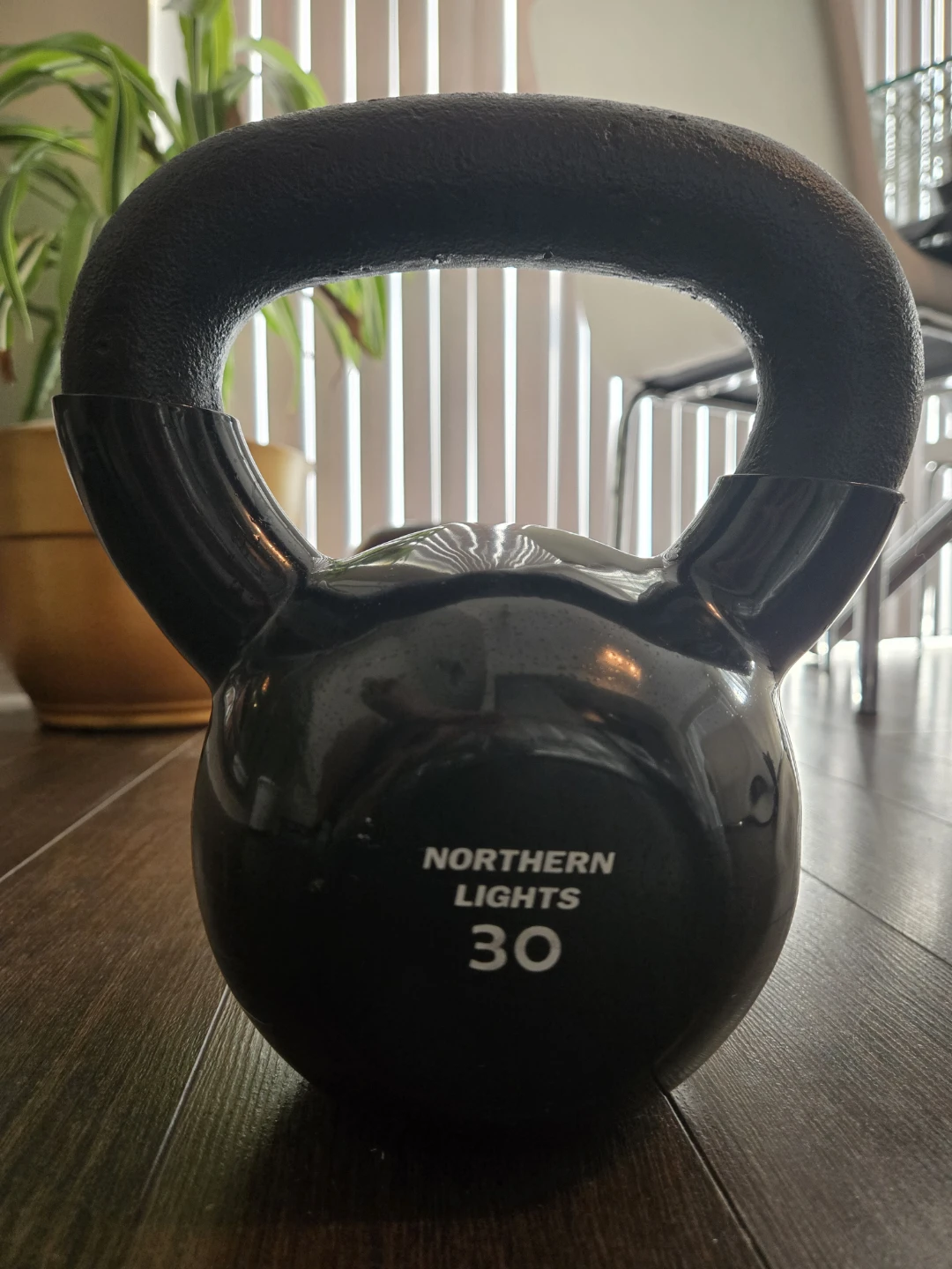 Northern Lights 30 lb Kettlebell - photo 2