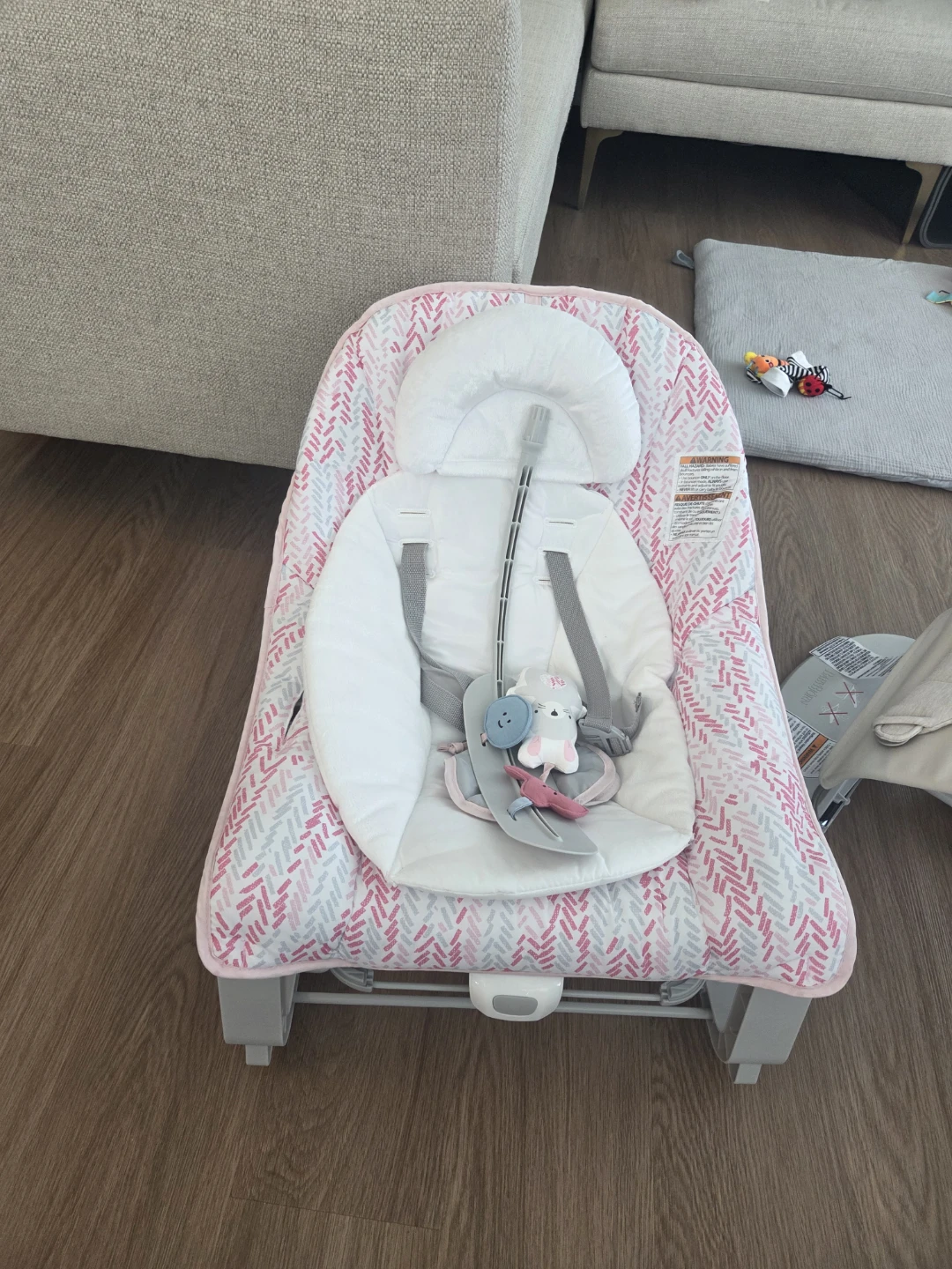 Fisher-Price Baby Bouncer Seat - free - photo 2