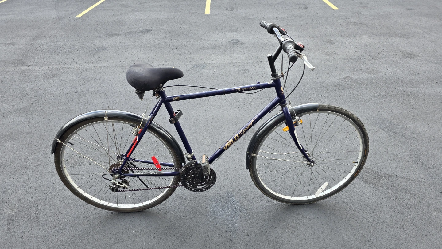 Reliable Velo Sport Express hybrid - photo 2