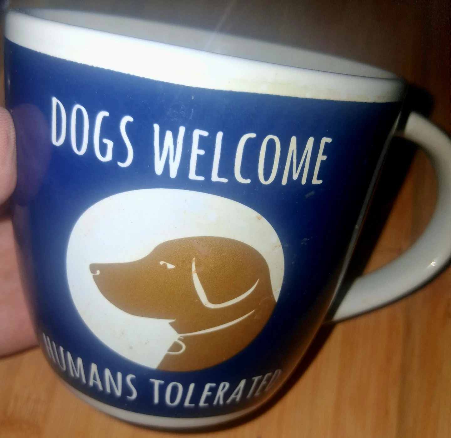Coffee Mug Dogs Welcome Humans Tolerated