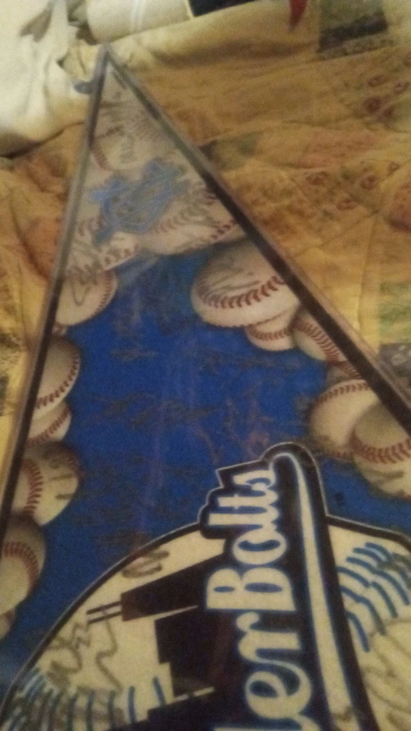 2024 team signed Windy City Thunderbolts Pennant - photo 3