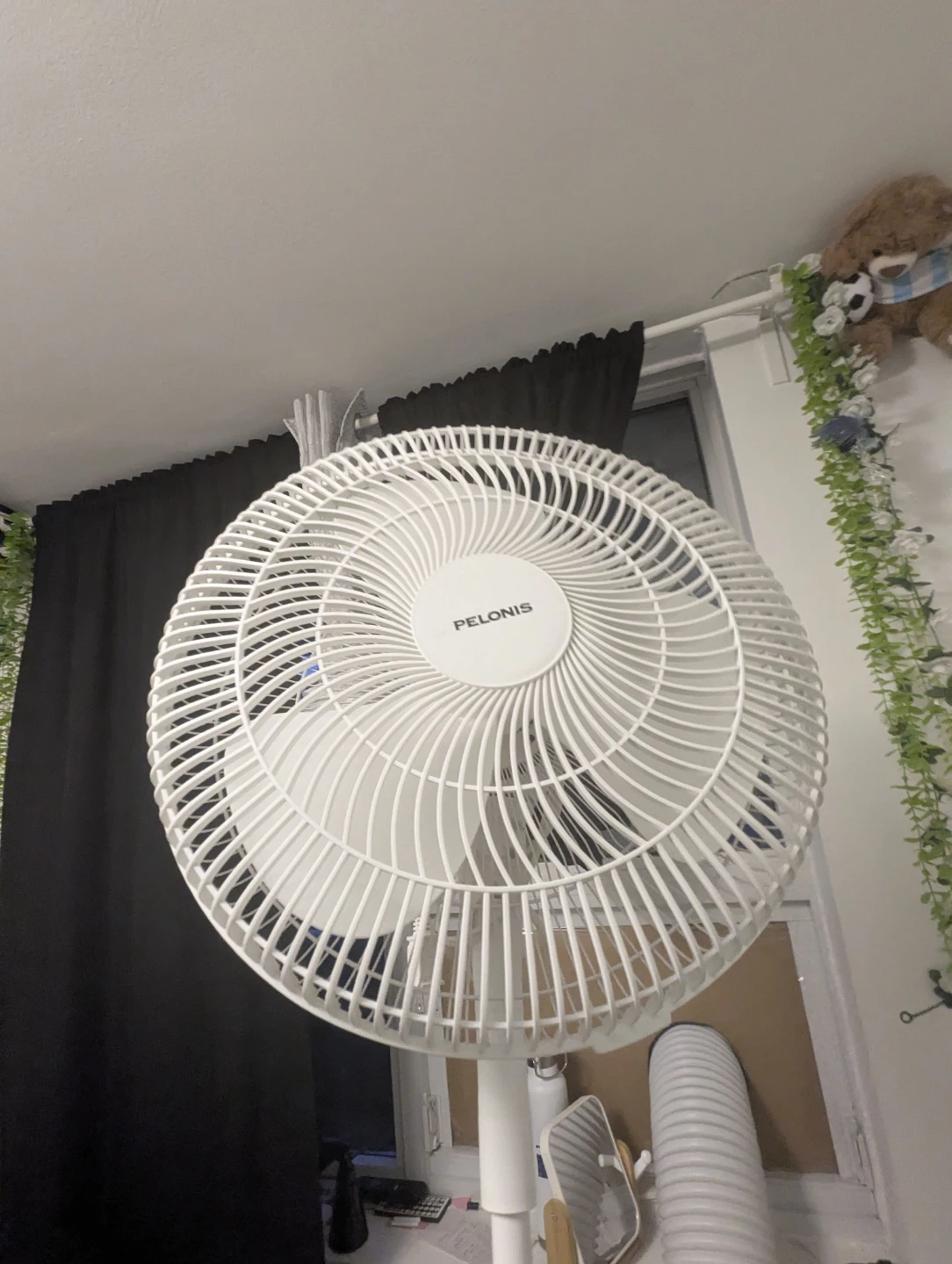 My beautiful Pelonis White Pedestal Fan