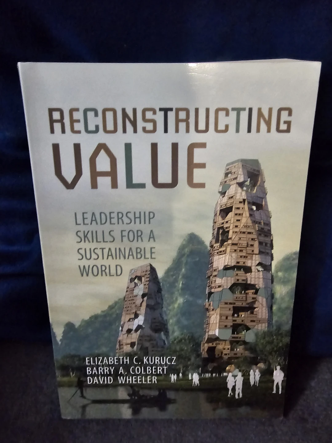 Reconstructing Value: Leadership Skills for a Sustainable World