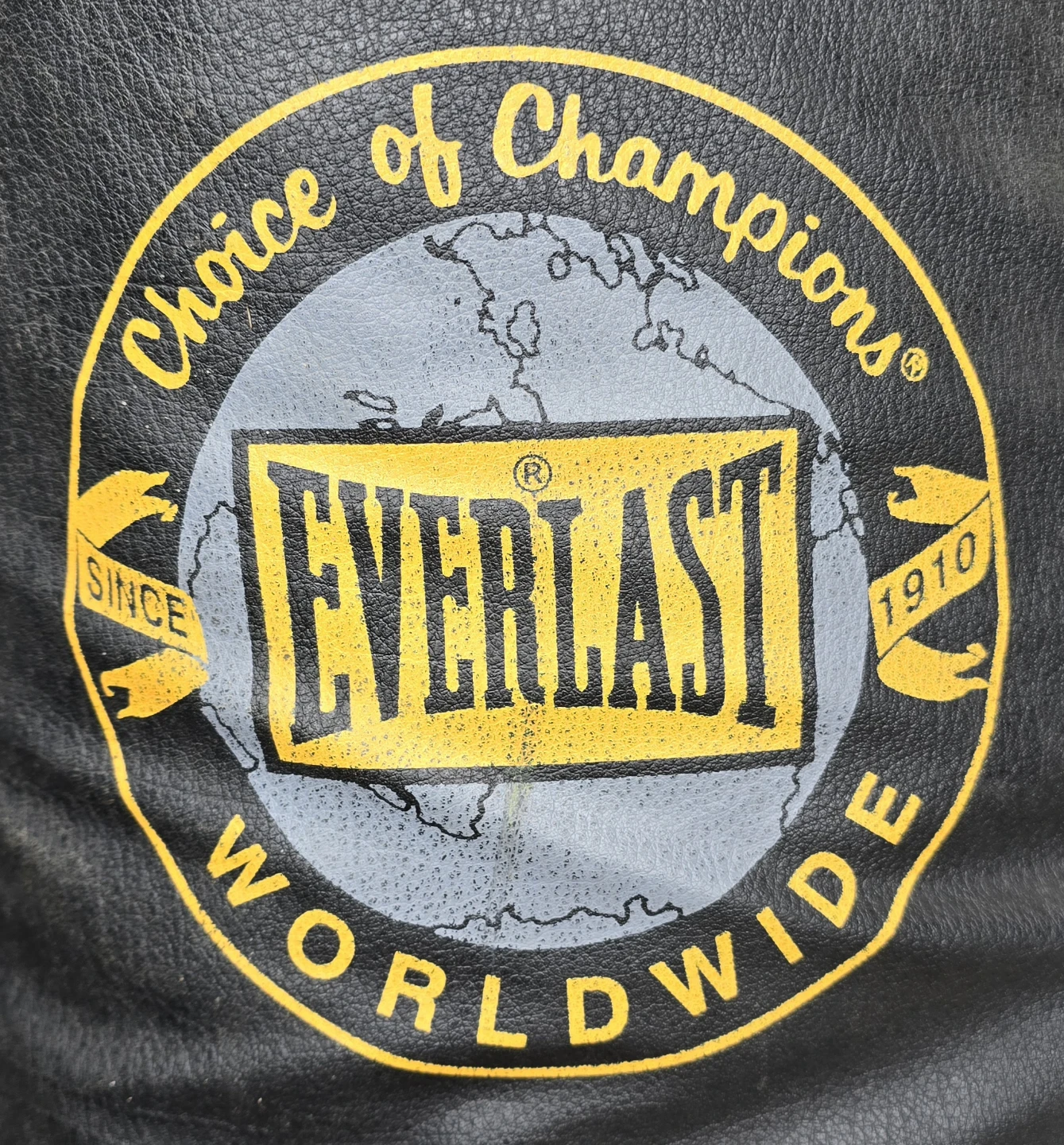 Everlast Heavy Punching Bag - photo 4
