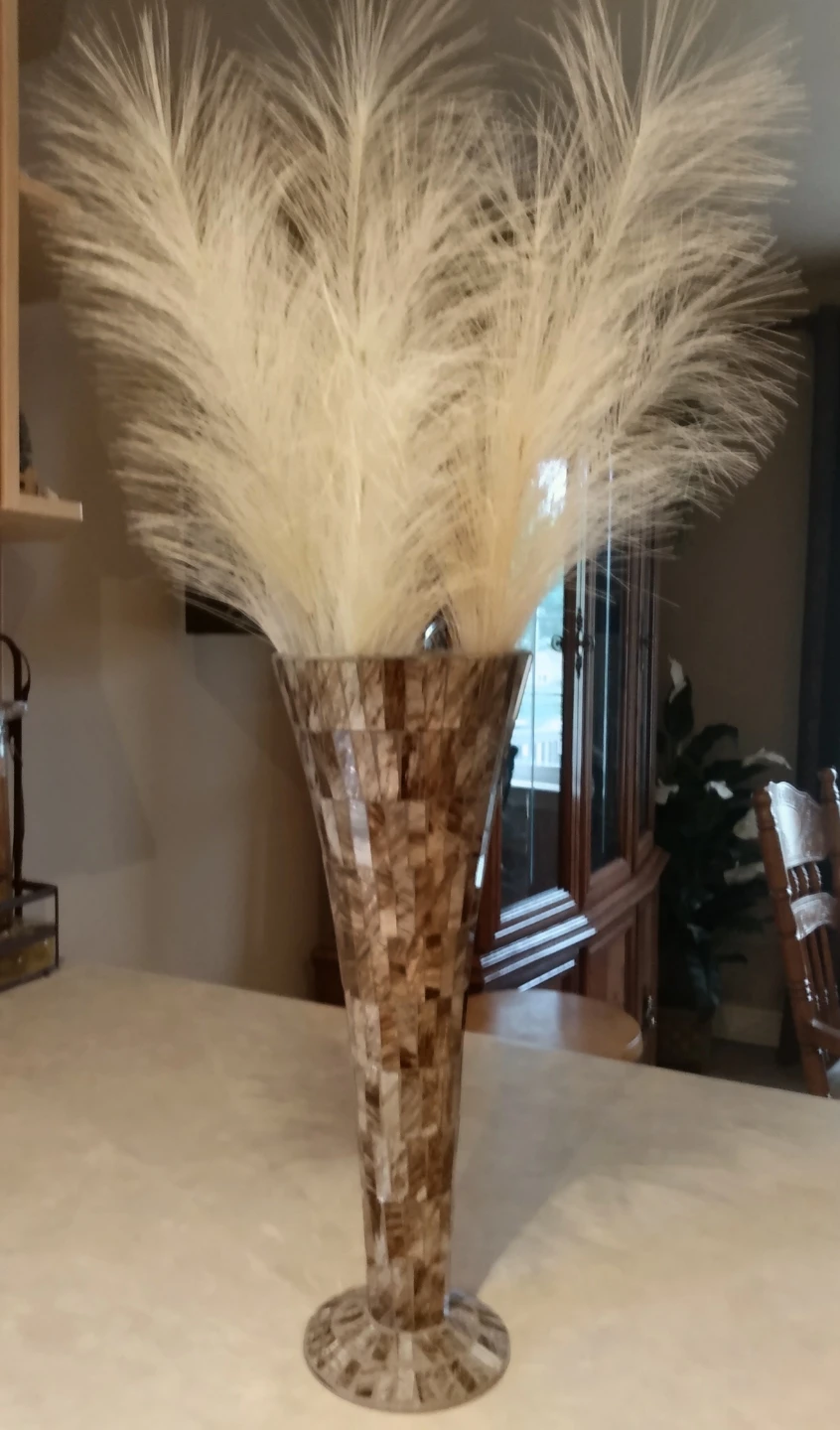 3  Stems of Dried Pampas Grass - photo 2