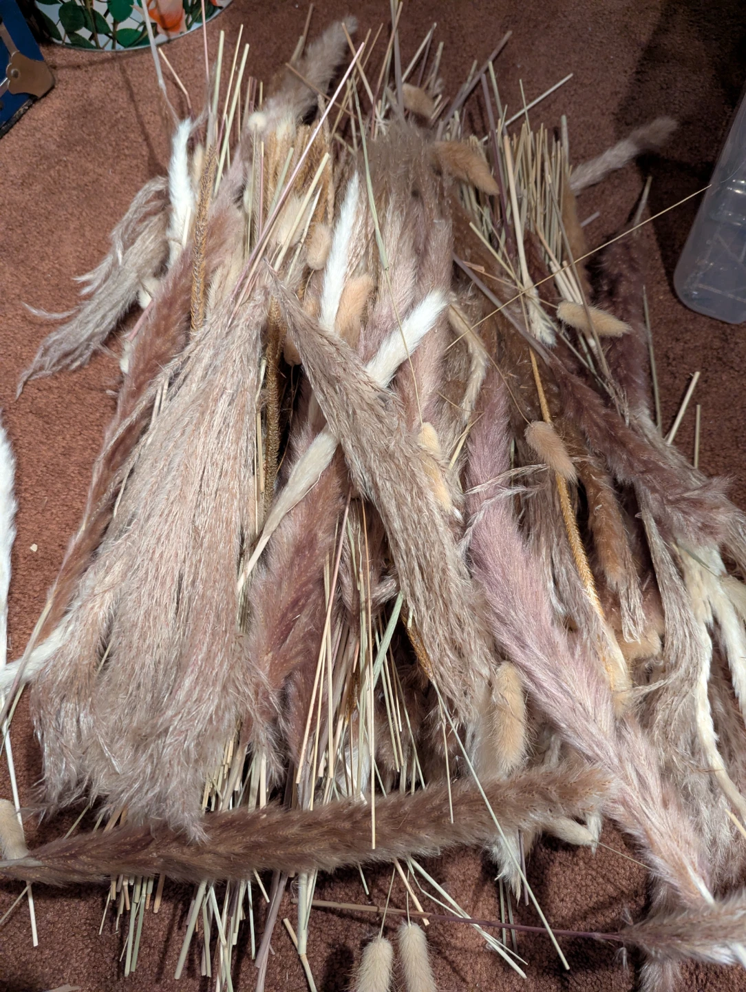 Dried Pampas Grass and Bunny Tail Arrangement