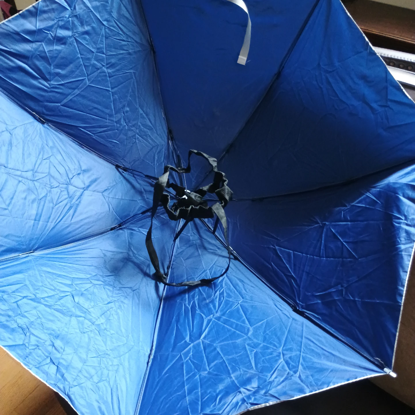 Blue & Silver Umbrella