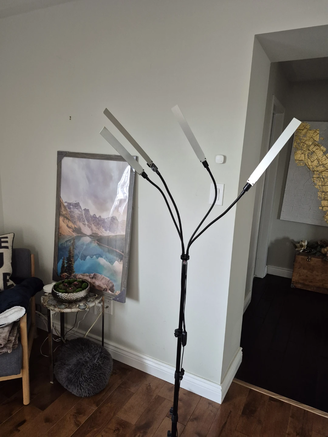 Grow light on tripod - photo 2