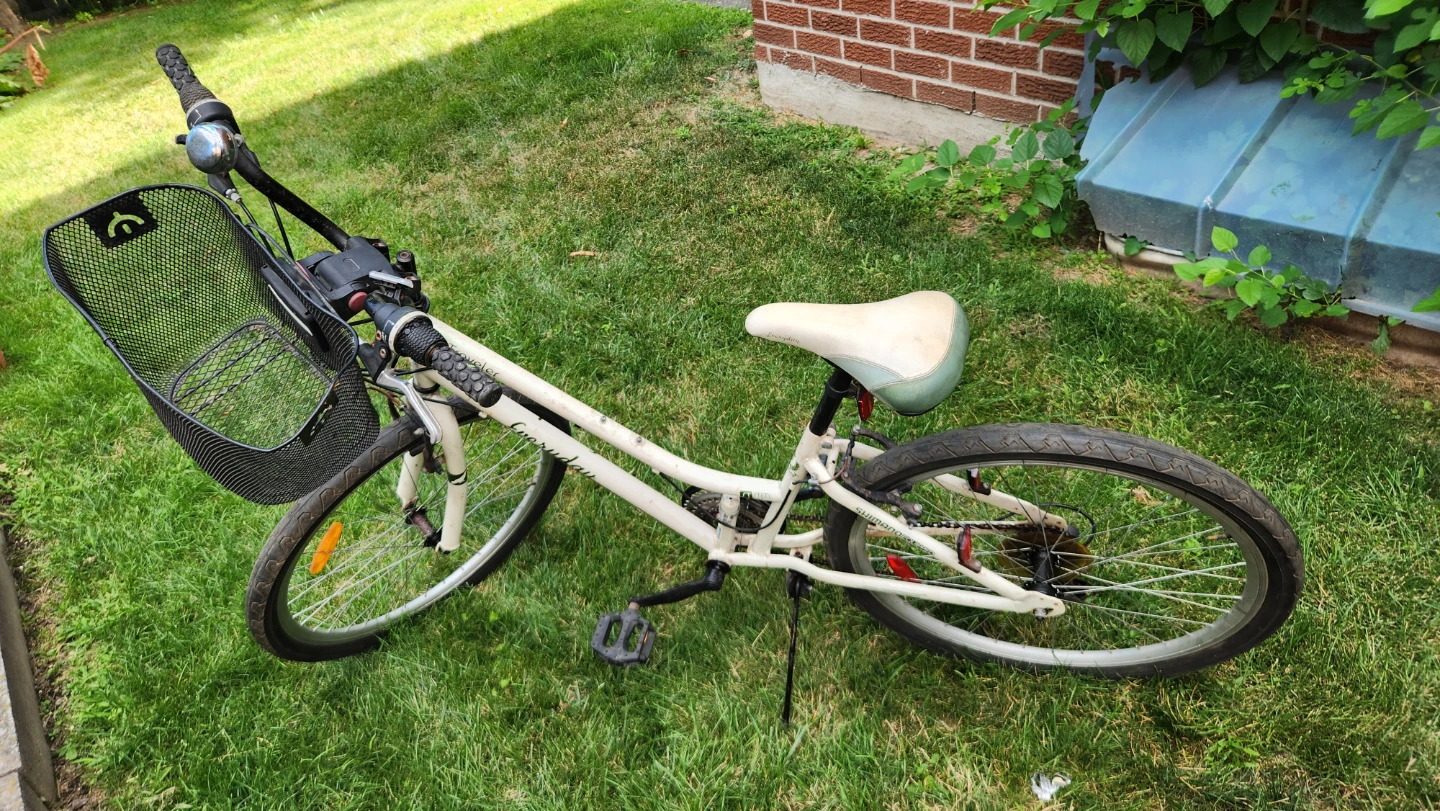Women's Traveler Everyday Bicycle - photo 2