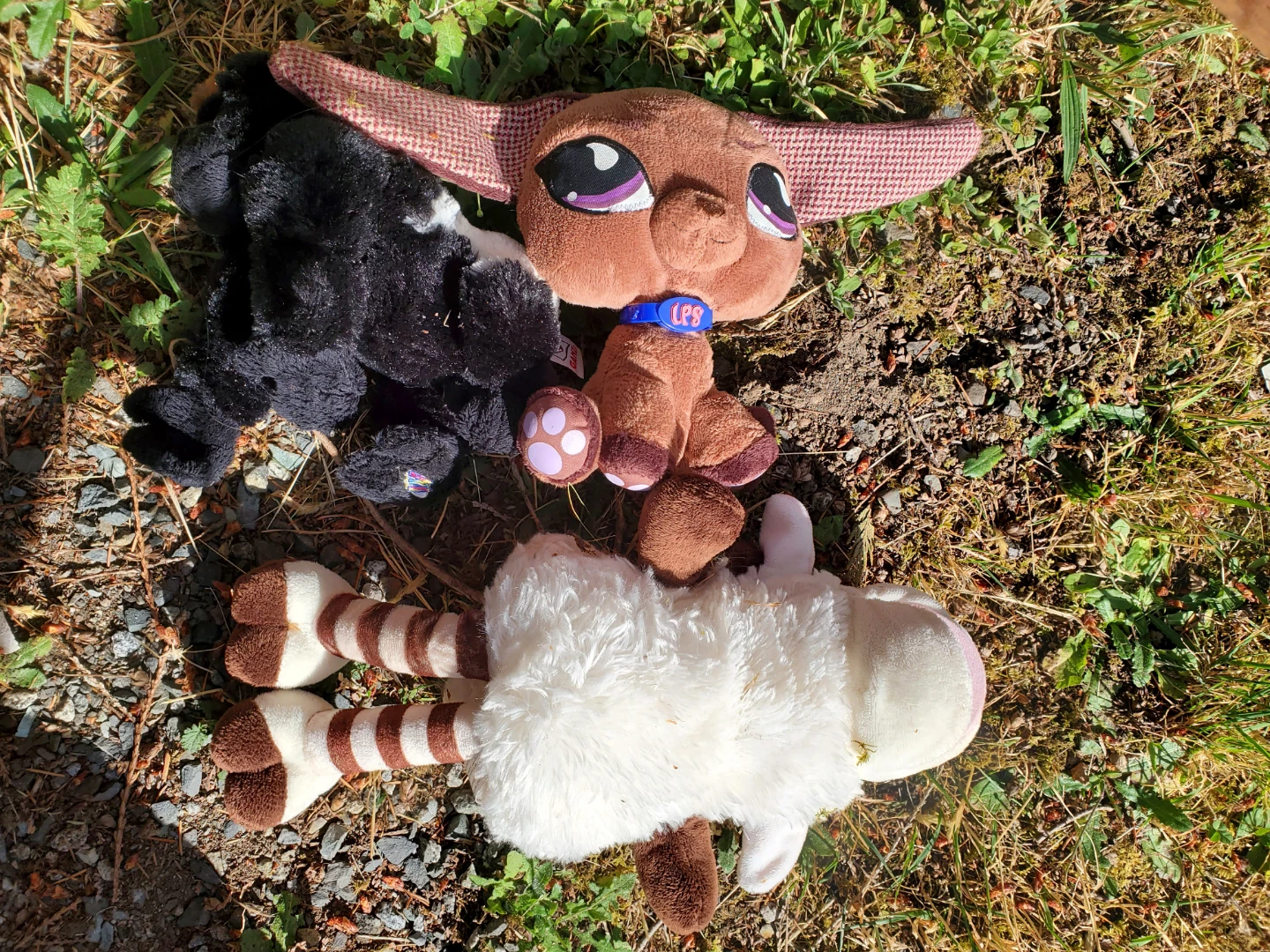 Stuffy Lot - photo 3
