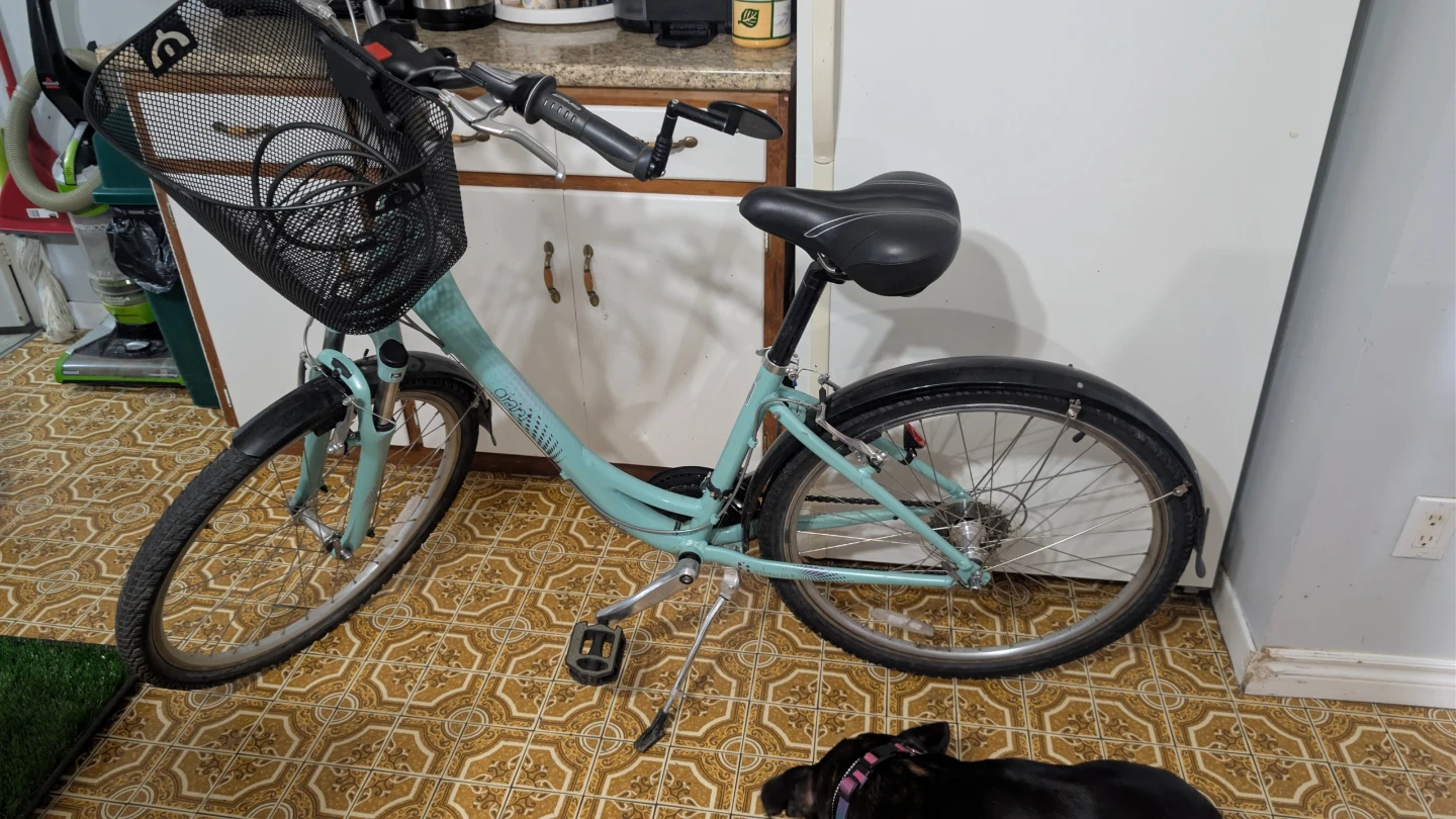 Liv beach cruiser