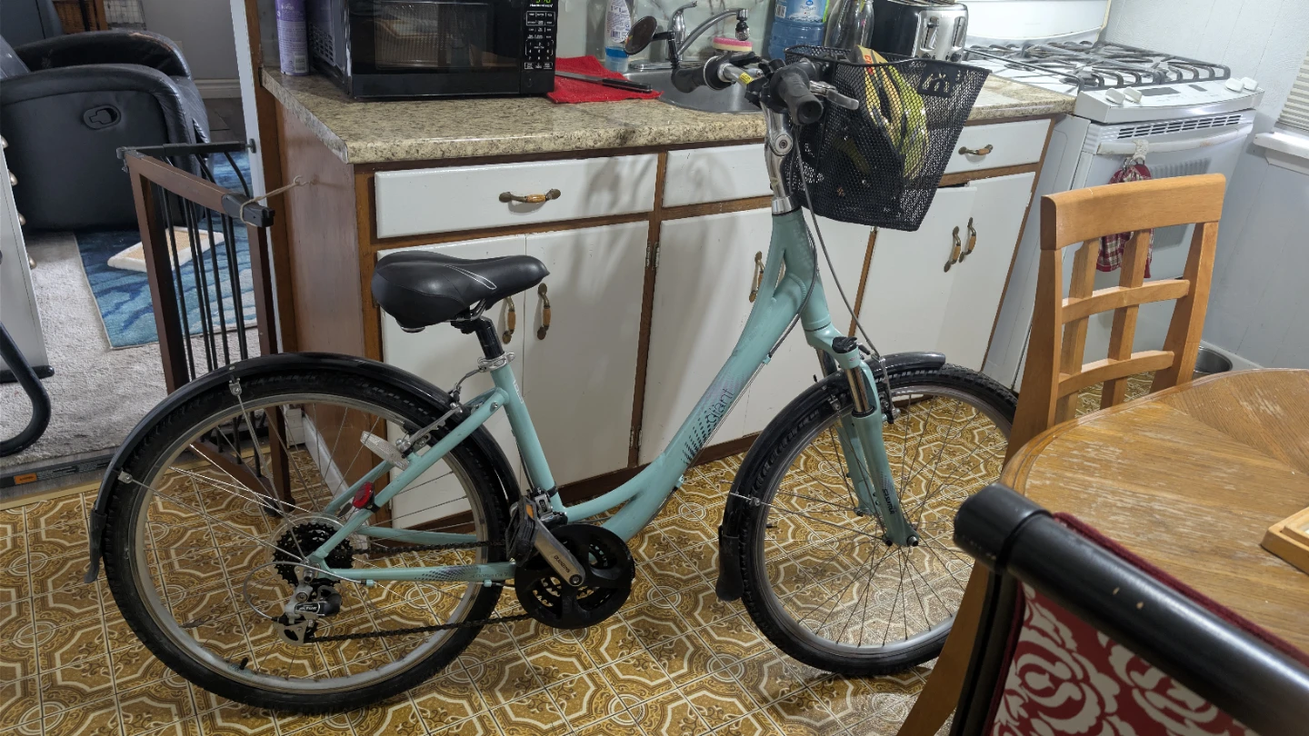 Liv beach cruiser - photo 2