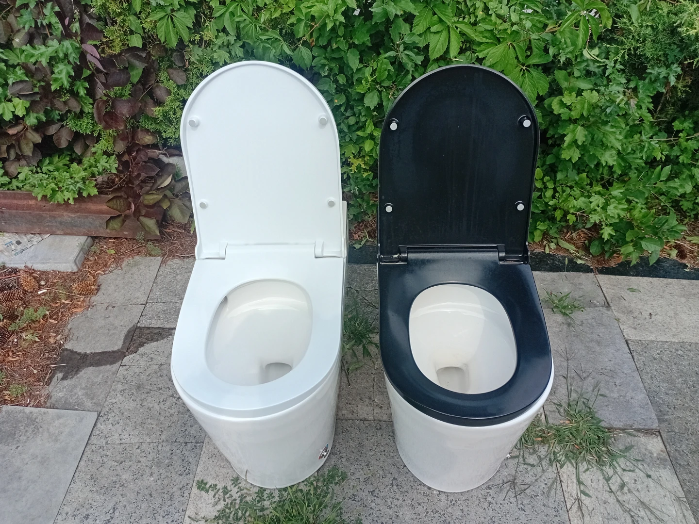 Modern Toilet - White and Black Options