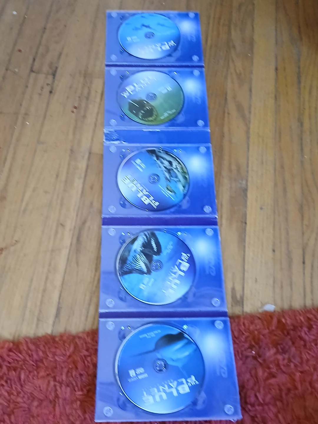 The Blue Planet: Seas of Life Collector's Set DVD - photo 2