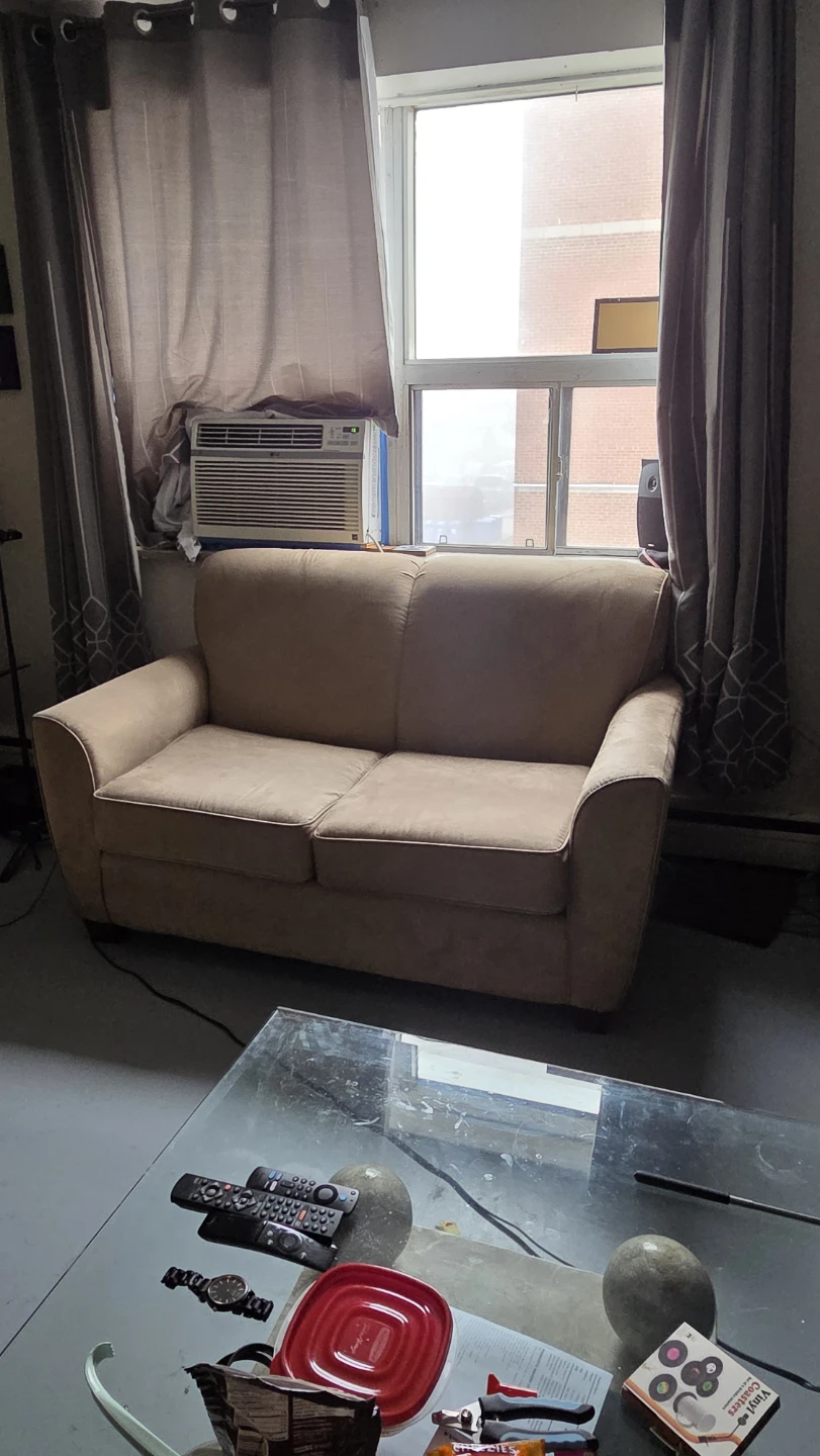 Tan Suede Couch