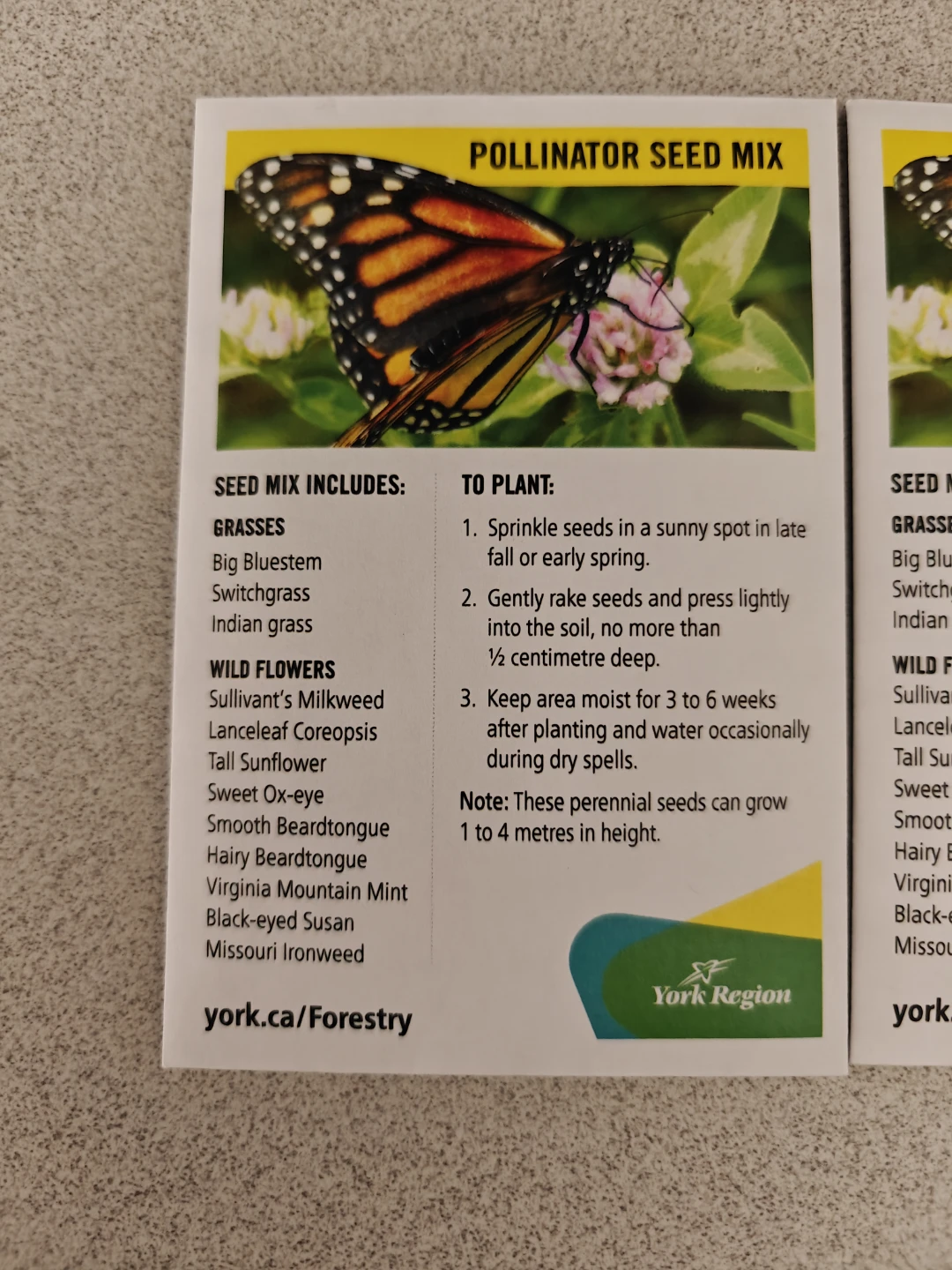 Pollinator Seed Mix - photo 2