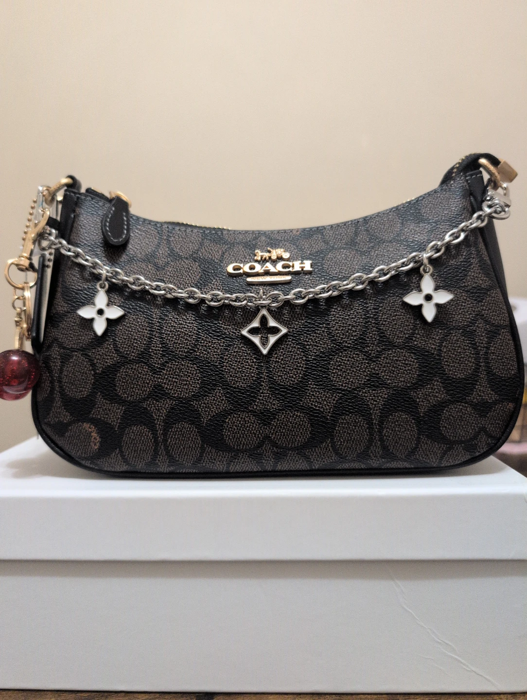 Coach Signature Pattern Hobo Bag with Charms