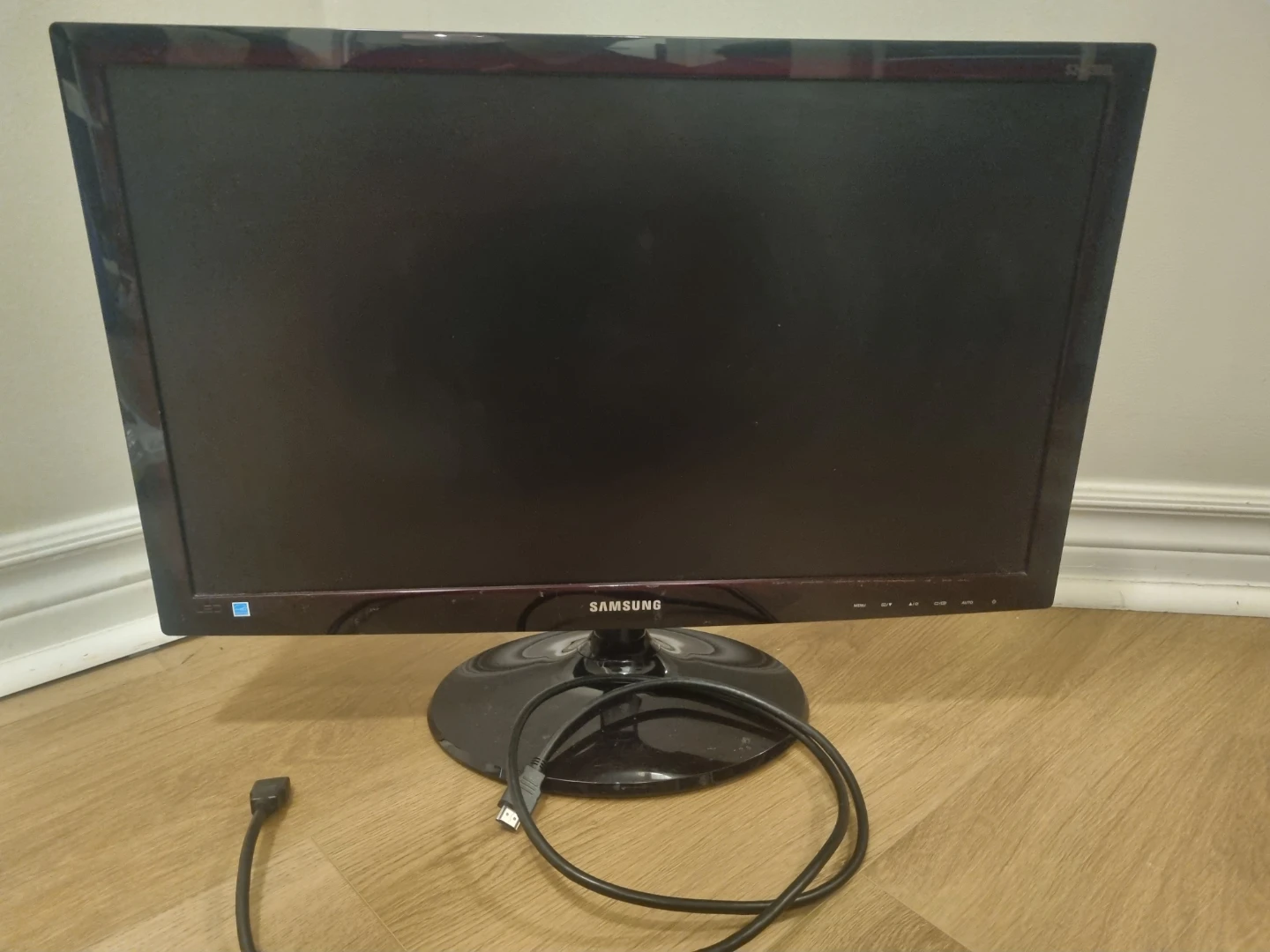 Samsung 24 inch(S24C300L) LED Monitor