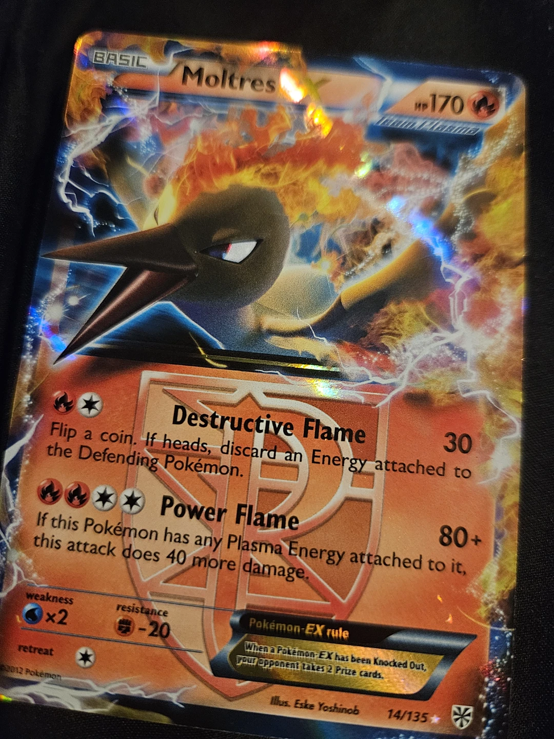 Pokemon Moltres EX Trading Card