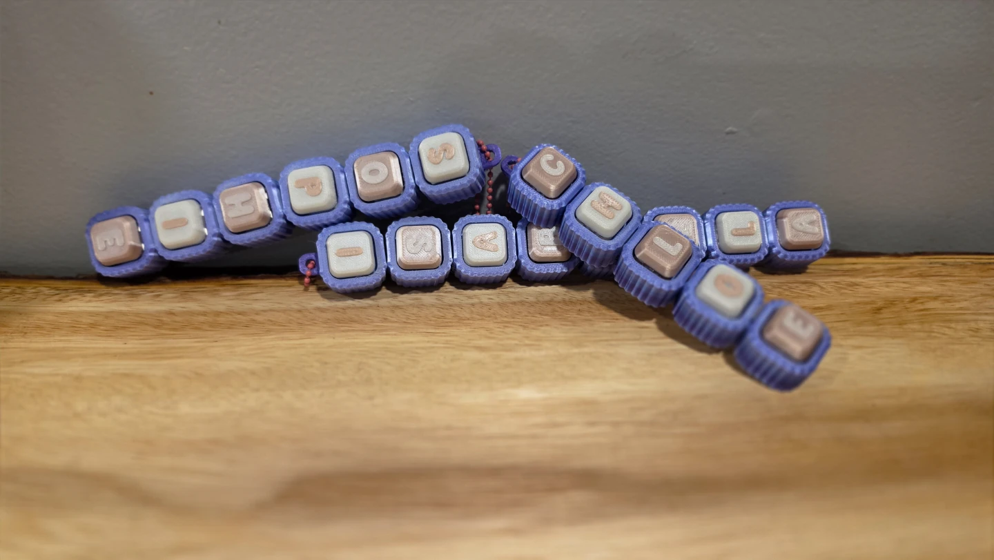 Personalized 3D printed Fidget clicker keychain.