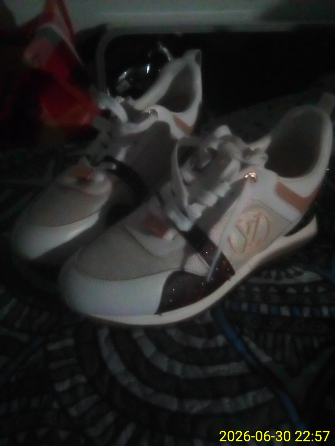 Louis Vuitton women's sneakers