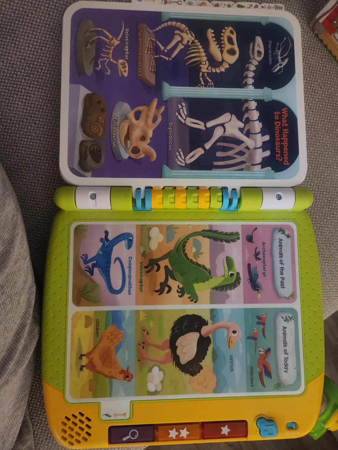 LeapFrog Touch & Learn Dinosaur Book - photo 4
