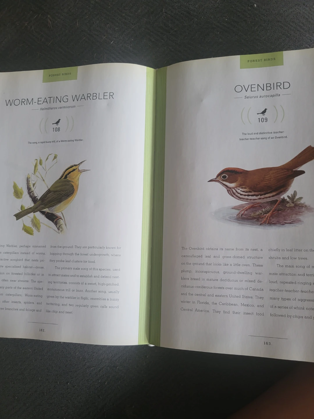 FreeBird Songs: 250 North American Birds in Song Book - photo 3