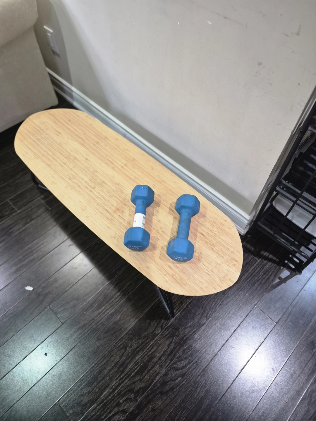 GoZone 18 LB Dumbbells (Pair)