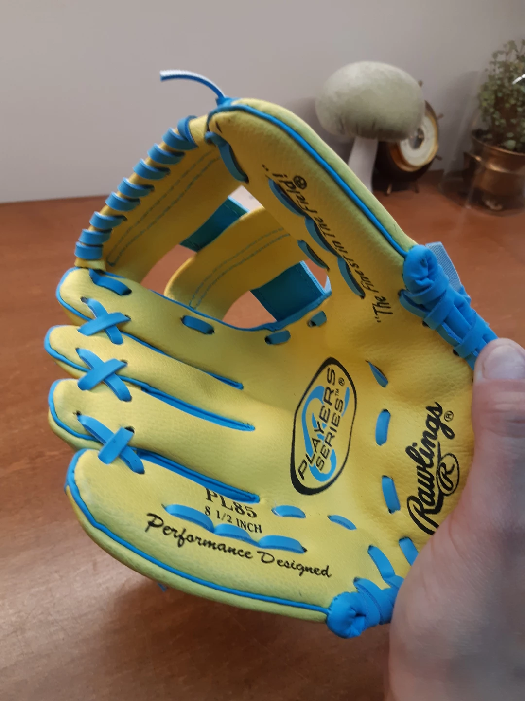 Rawlings series PL85 t-ball baseball glove - photo 3