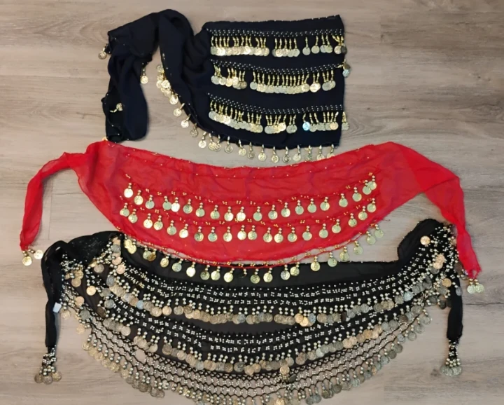 Belly Dance Hip Scarves with Coins - photo 2