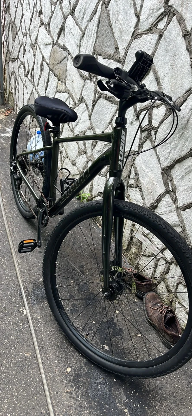 Giant Cypress Hybrid Bike