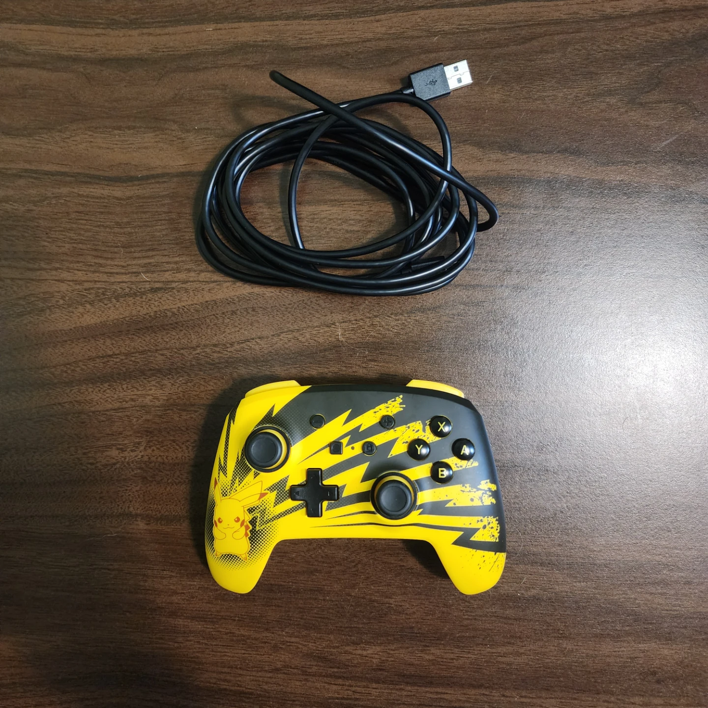 Nintendo Switch style USB Controller.