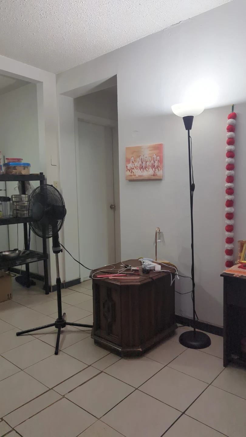 Black Floor Lamp