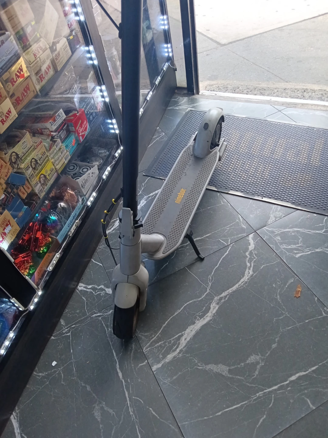 ninebot Electric Scooter